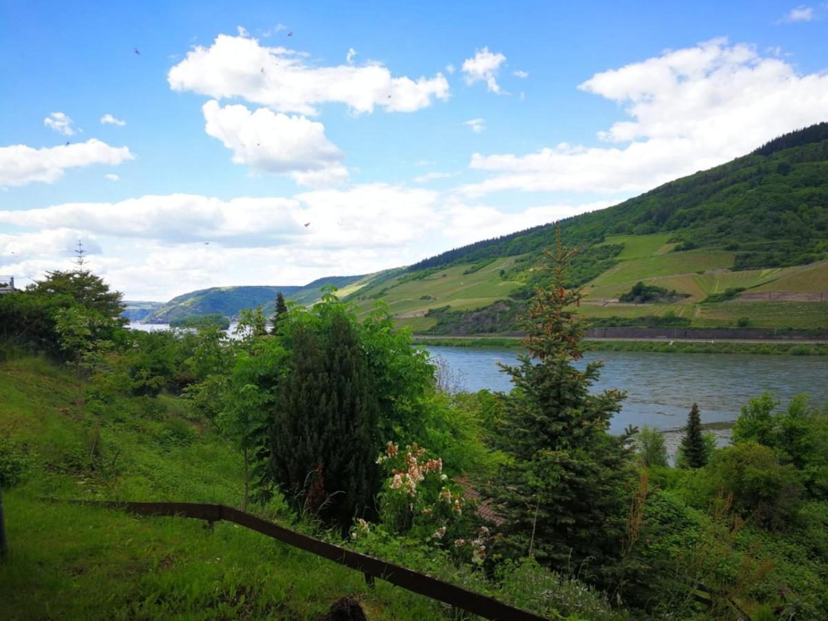 Wunderschoene Aussicht Garantiert Trechtingshausen Luaran gambar